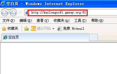 打开浏览器，输入域名