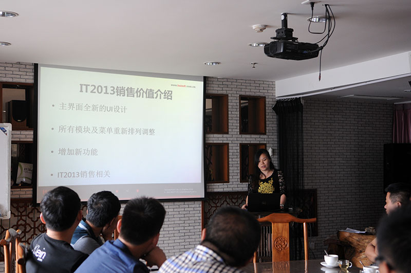 IT2013产品销售价值及销售策略